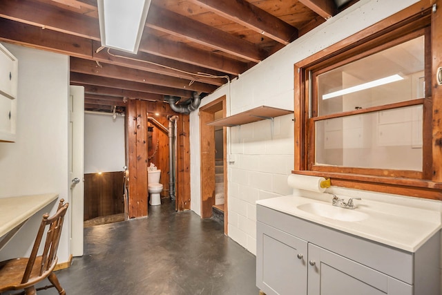 basement with sink