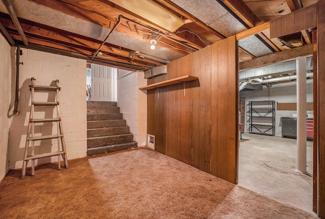 basement featuring wooden walls