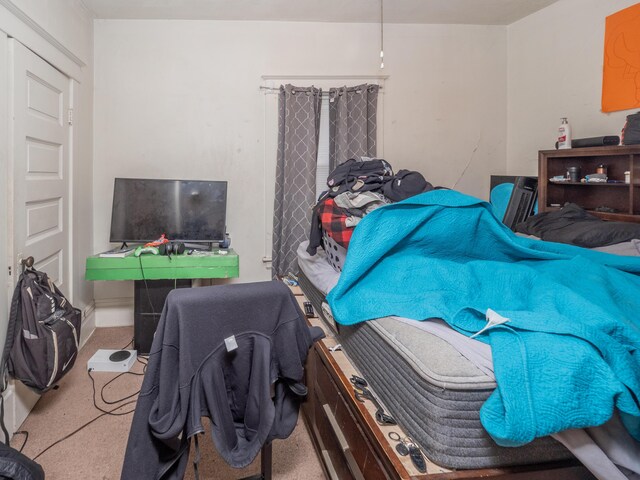 bedroom featuring carpet floors