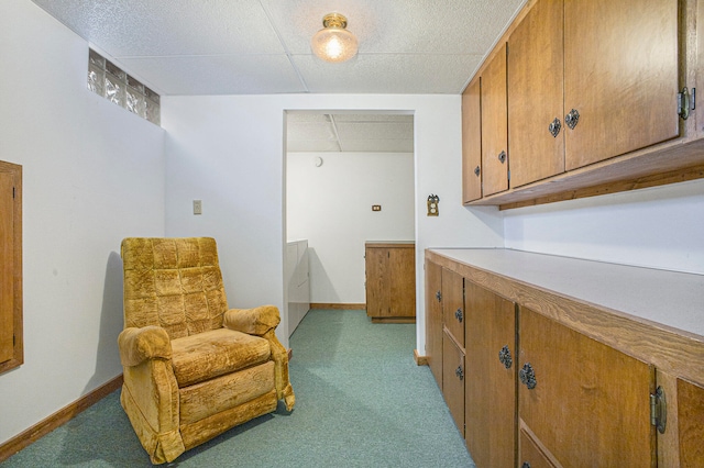 living area with light colored carpet