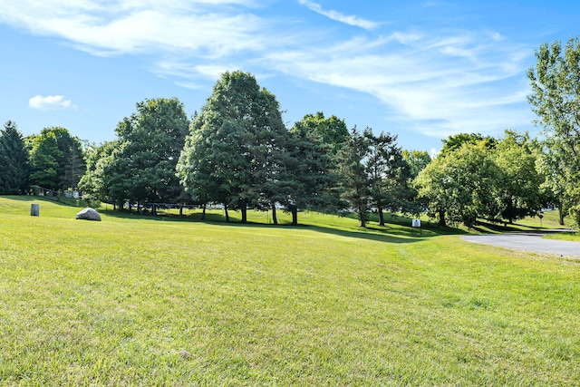 view of property's community with a lawn