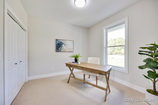 view of carpeted office space