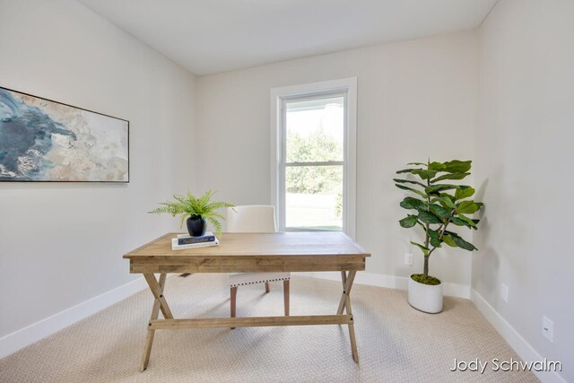 view of carpeted office space