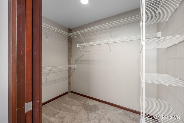 spacious closet featuring light carpet