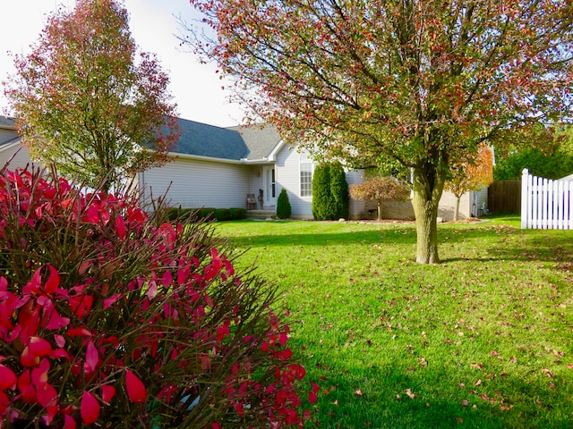 view of yard