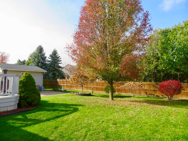 view of yard featuring a patio