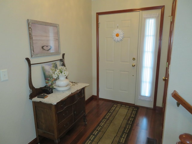 foyer entrance featuring a wealth of natural light and dark wood-type flooring