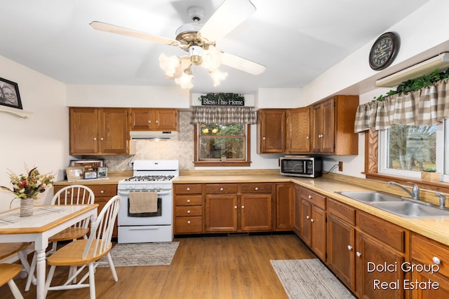 kitchen with gas range gas stove, sink, ceiling fan, backsplash, and hardwood / wood-style flooring