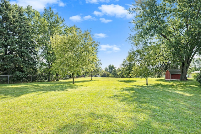 view of yard featuring a shed