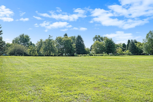 view of yard featuring a rural view