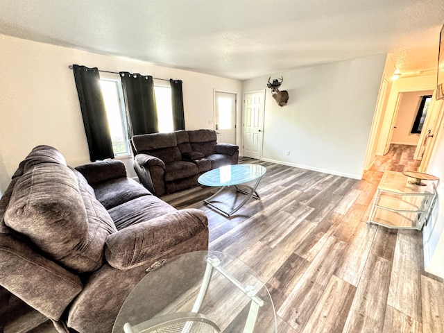 living room with a textured ceiling, hardwood / wood-style flooring, and a wealth of natural light