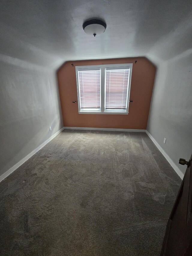 bonus room featuring carpet floors and vaulted ceiling