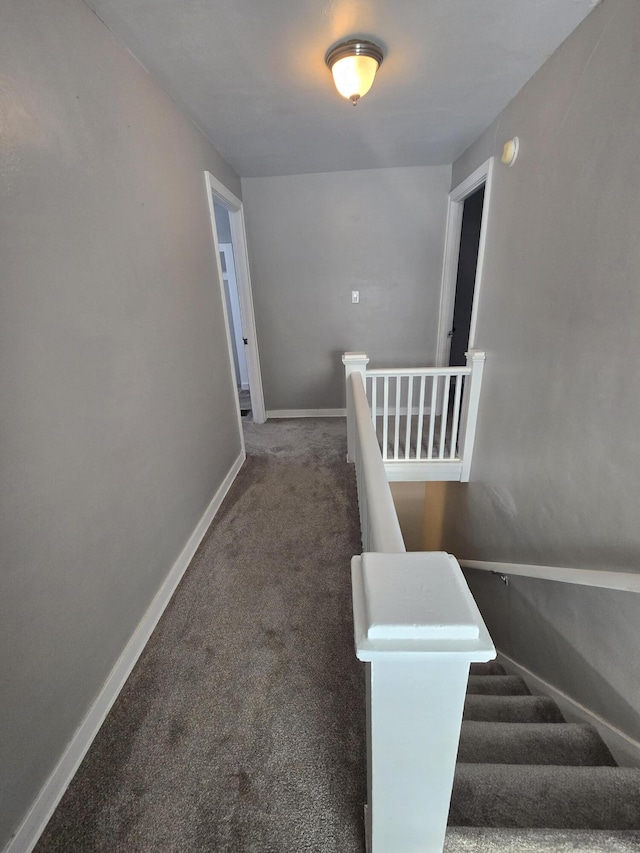 stairs with carpet floors