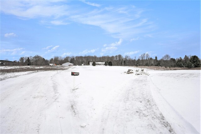 view of yard covered in snow