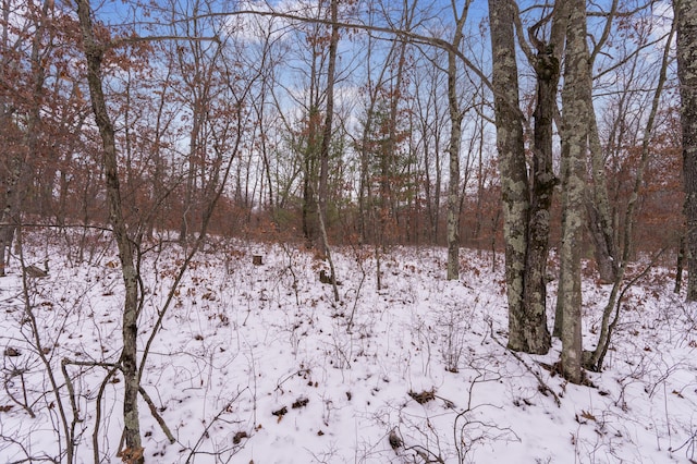 view of snow covered land