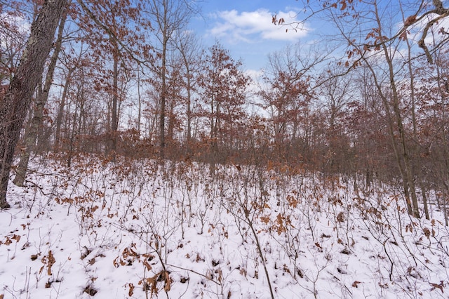 view of snowy landscape