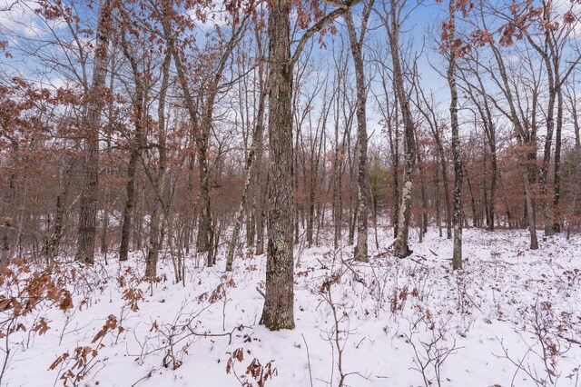 view of snow covered land