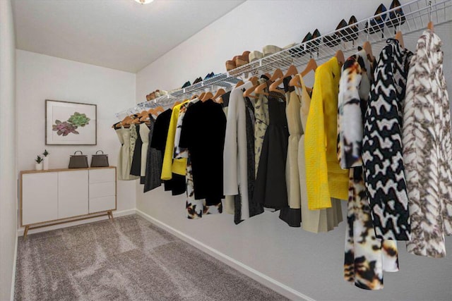 spacious closet featuring carpet