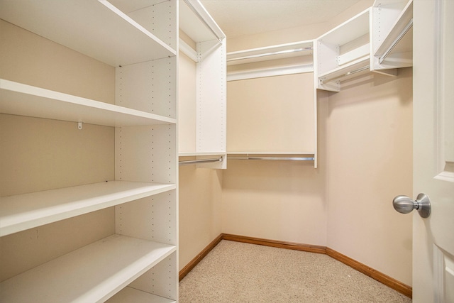 spacious closet with light colored carpet