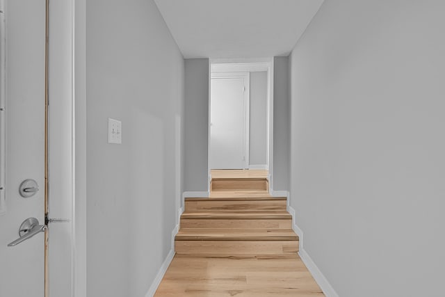 7564 13 Mile Rd NE, Rockford, MI 49341 - staircase featuring hardwood / wood-style floors