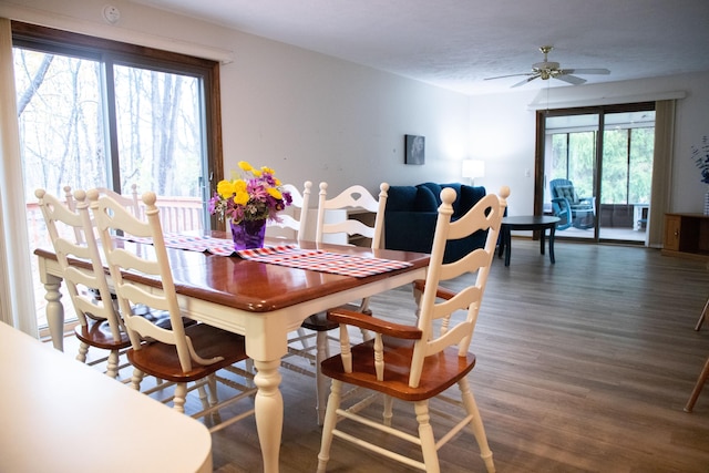 dining space featuring a textured ceiling, ceiling fan, and dark hardwood / wood-style floors