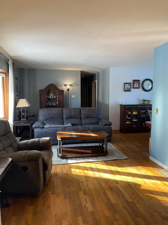 living room with wood-type flooring