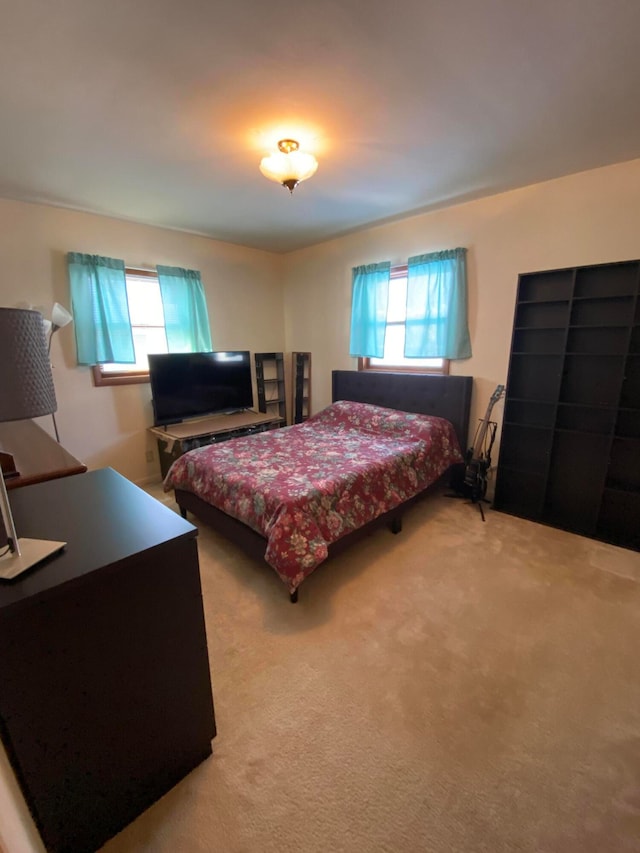 carpeted bedroom featuring multiple windows