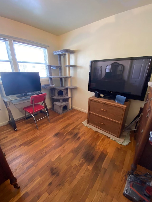 office space featuring hardwood / wood-style flooring