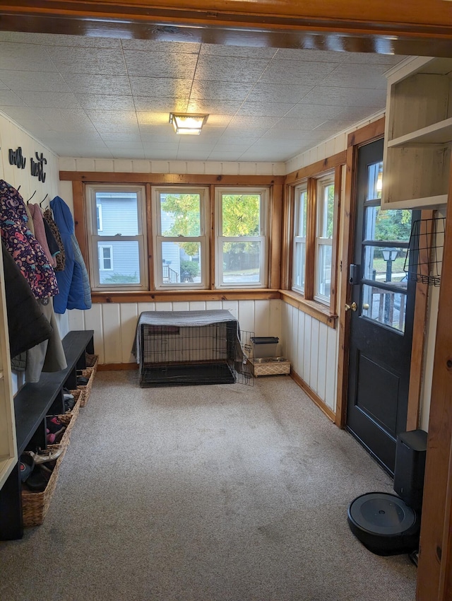 interior space featuring carpet flooring and wood walls