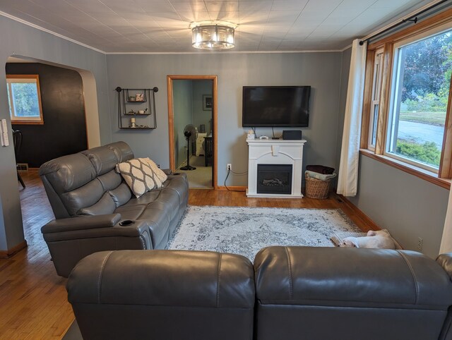 living room featuring wood-type flooring and crown molding