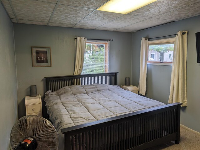 carpeted bedroom with multiple windows