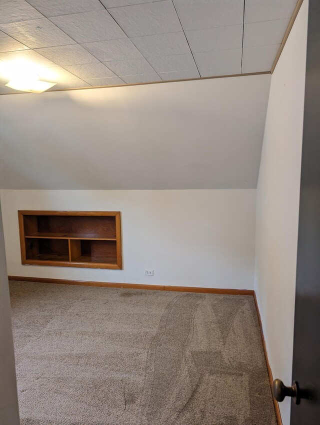 bonus room featuring carpet