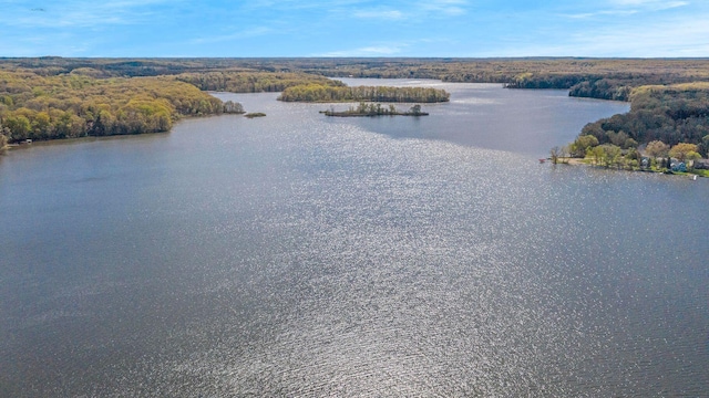 3910 Allegan Dam Rd, Allegan MI, 49010 land for sale