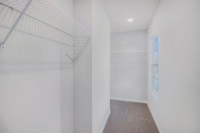 spacious closet with carpet