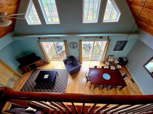 living room featuring hardwood / wood-style flooring, a towering ceiling, and a wealth of natural light