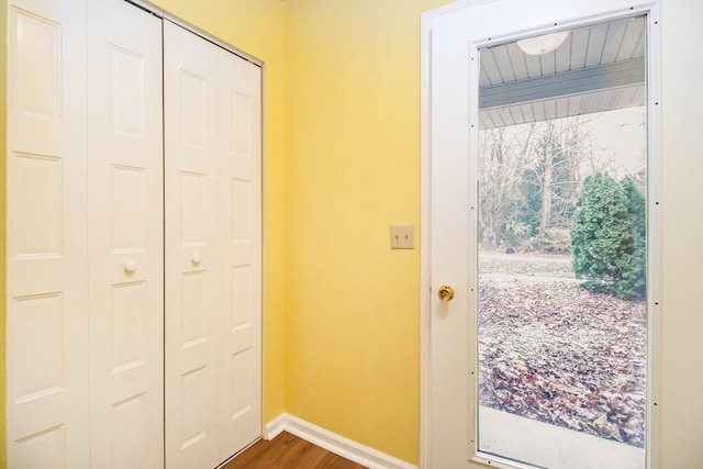 entryway featuring dark hardwood / wood-style floors