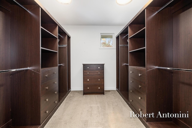 walk in closet with light colored carpet