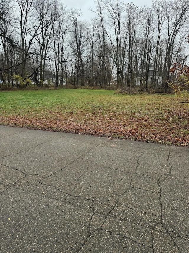 V/L Mulberry St, Vandalia, MI 49095