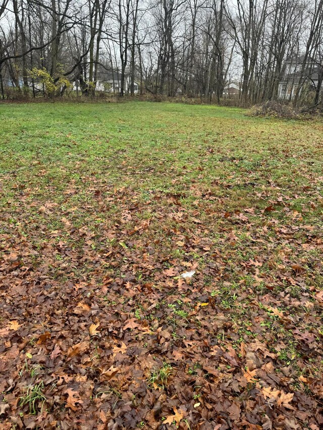V/L Mulberry St, Vandalia, MI 49095