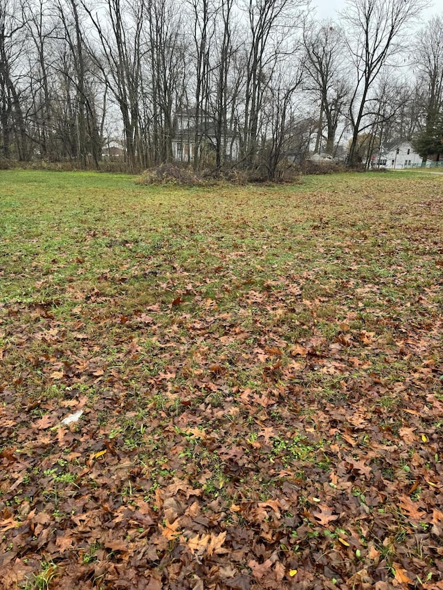 V/L Mulberry St, Vandalia, MI 49095