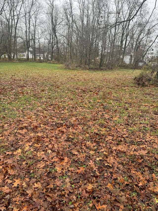 V/L Mulberry St, Vandalia, MI 49095
