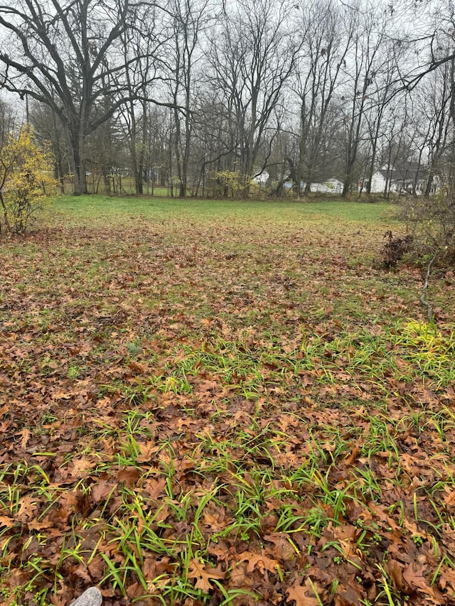 V/L Mulberry St, Vandalia, MI 49095