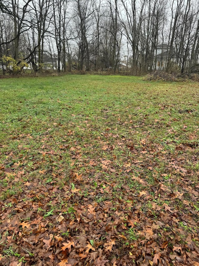 V/L Mulberry St, Vandalia, MI 49095