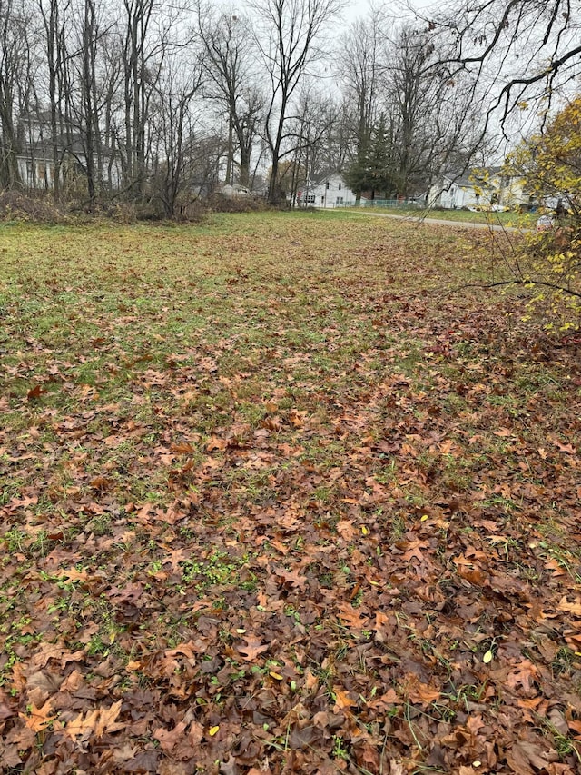 V/L Mulberry St, Vandalia, MI 49095