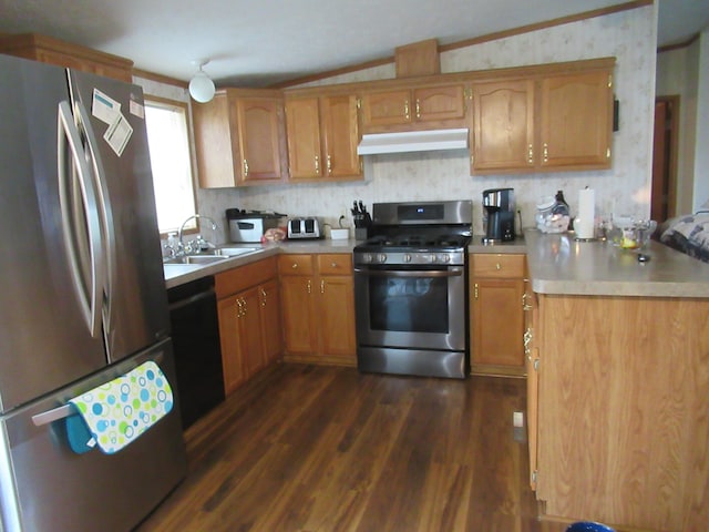 kitchen featuring lofted ceiling, dark wood-type flooring, crown molding, sink, and appliances with stainless steel finishes