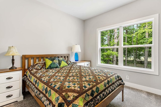 bedroom with carpet floors