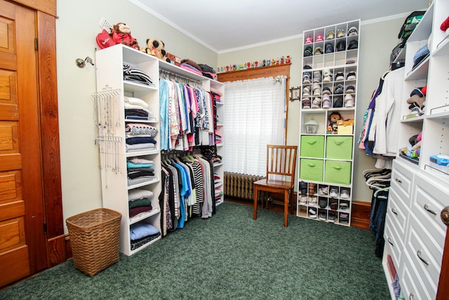 walk in closet featuring radiator heating unit and dark carpet