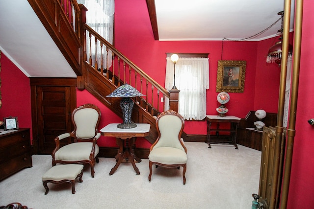 living area featuring carpet flooring