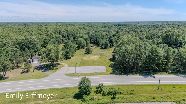 7142 Holton Rd, Twin Lake MI, 49457 land for sale