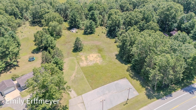 7142 Holton Rd, Twin Lake, MI 49457 - photo 3